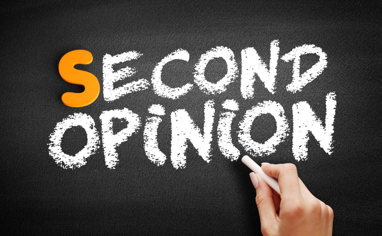 Opinion текст